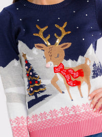 WOMEN'S LONG SLEEVE SEQUINS GRAPHIC PULLOVER HOLIDAY SWEATER