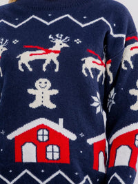 WOMEN'S LONG SLEEVE HOLIDAY PRINT PULLOVER SWEATER