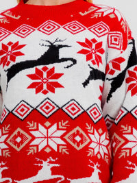 ****PLUS SIZE LONG SLEEVE HOLIDAY PRINT PULLOVER SWEATER