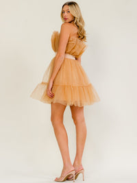 WOMEN'S SLEEVELESS ELASTIC WAIST ORGANZA MINI DRESS