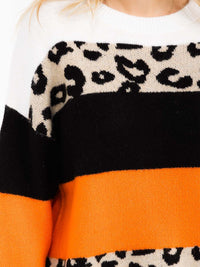 WOMEN'S LONG SLEEVE COLORBLOCK ANIMAL PRINT PULLOVER SWEATER