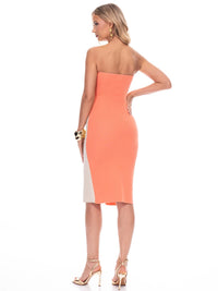 WOMEN'S SLEEVELESS BUTTON DETAILED COLORBLOCK BODYCON TUBE MIDI DRESS