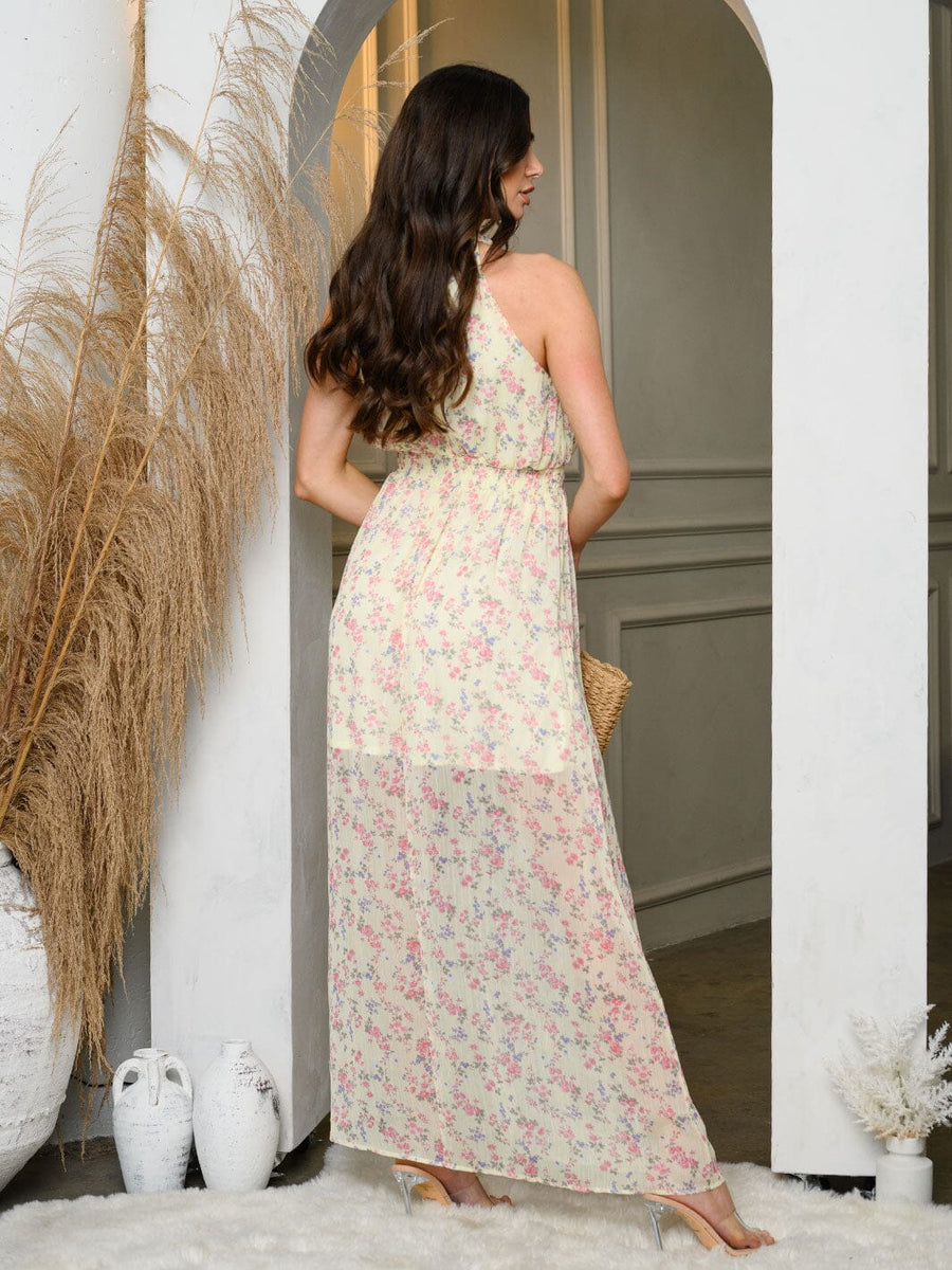 Women’s Halter Neck Sleeveless Form Fitting Maxi Dress main image 1