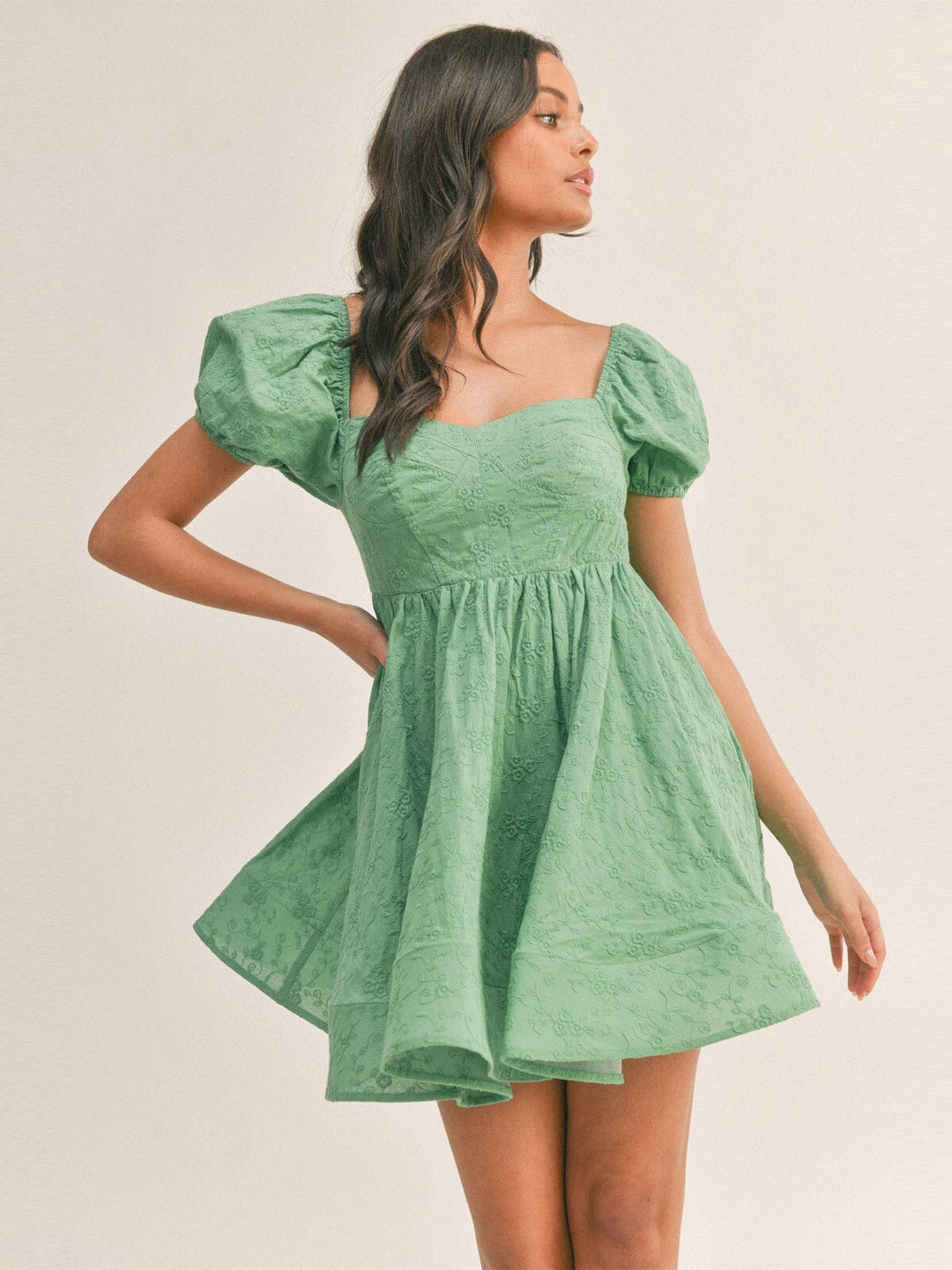 WOMEN'S SHORT PUFF SLEVE EMBROIDERY FLORAL DETAILED MINI DRESS