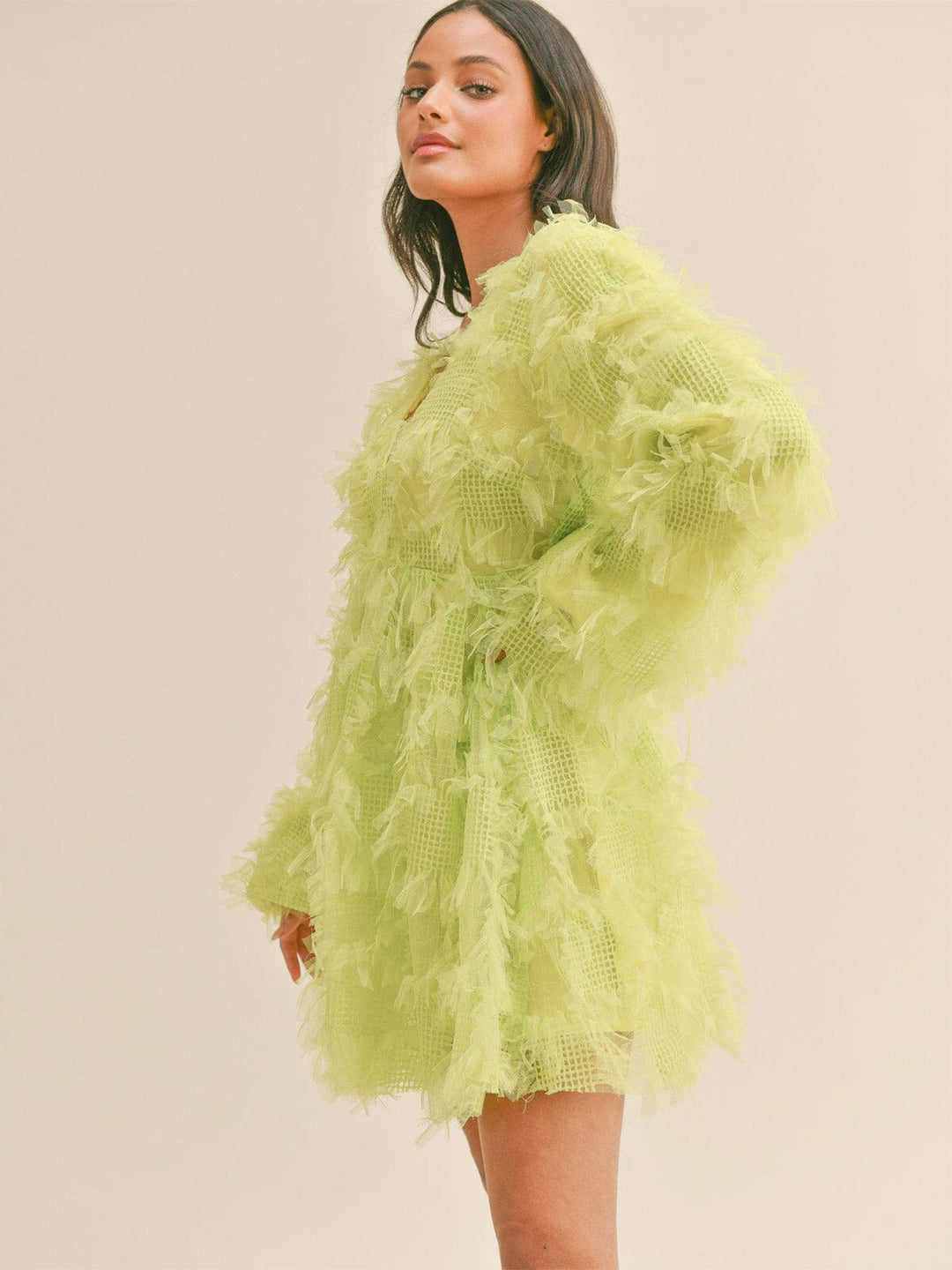 WOMEN'S LONG SLEEVE V-NECK FEATHER DETAILED MINI DRESS