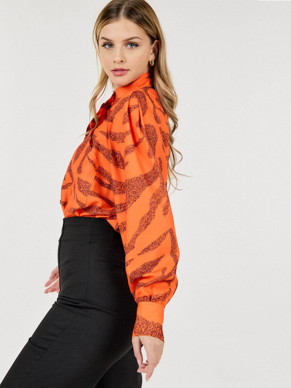WOMEN'S LONG PUFF SLEEVE BUTTON CLOSURE PRINTED BLOUSE