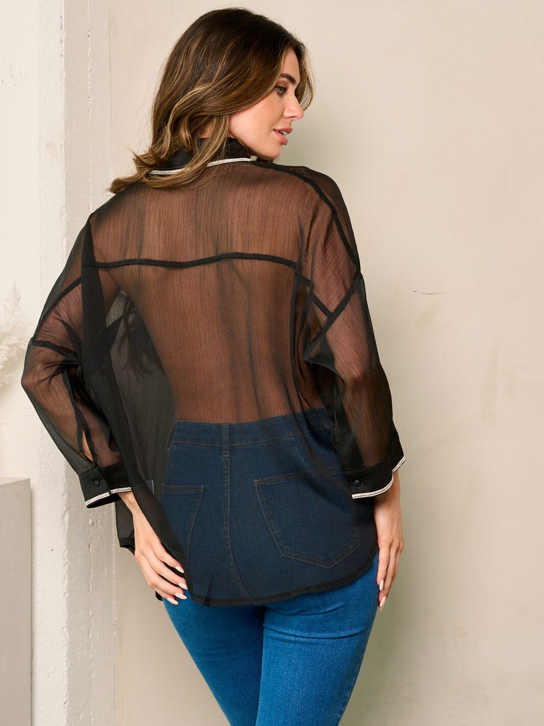WOMEN'S LONG SLEEVE BUTTON UP SHEER TOP