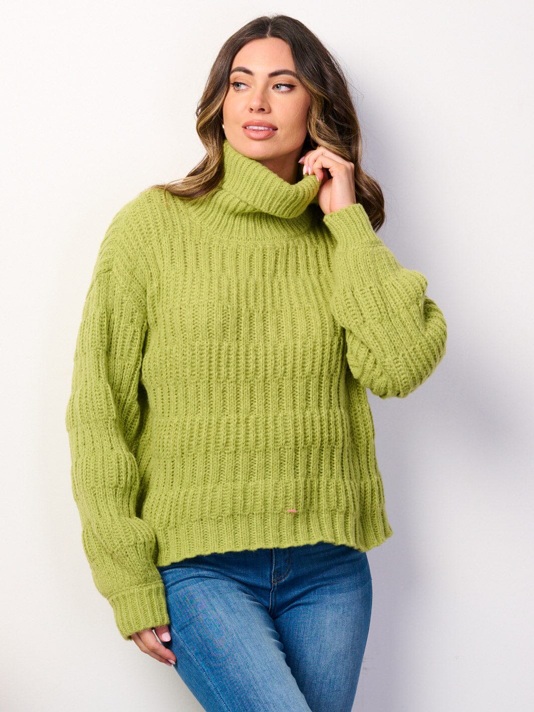WOMEN'S LONG SLEEVE TURTLE NECK PULLOVER SWEATER