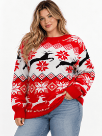 PLUS SIZE LONG SLEEVE HOLIDAY PRINT PULLOVER SWEATER
