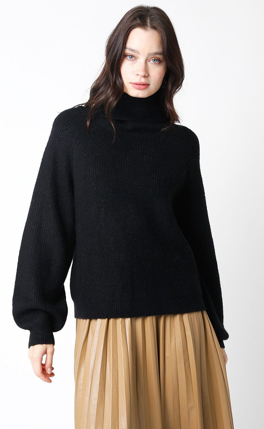 WOMEN'S LONG SLEEVE TURTLE NECK PULLOVER SWEATER