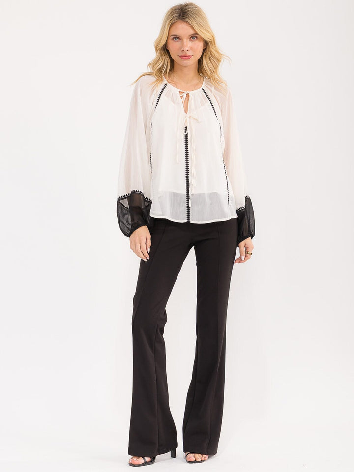 WOMEN'S LONG BALLOON SLEEVE V-NECK SHEER WITH LINING BLOUSE