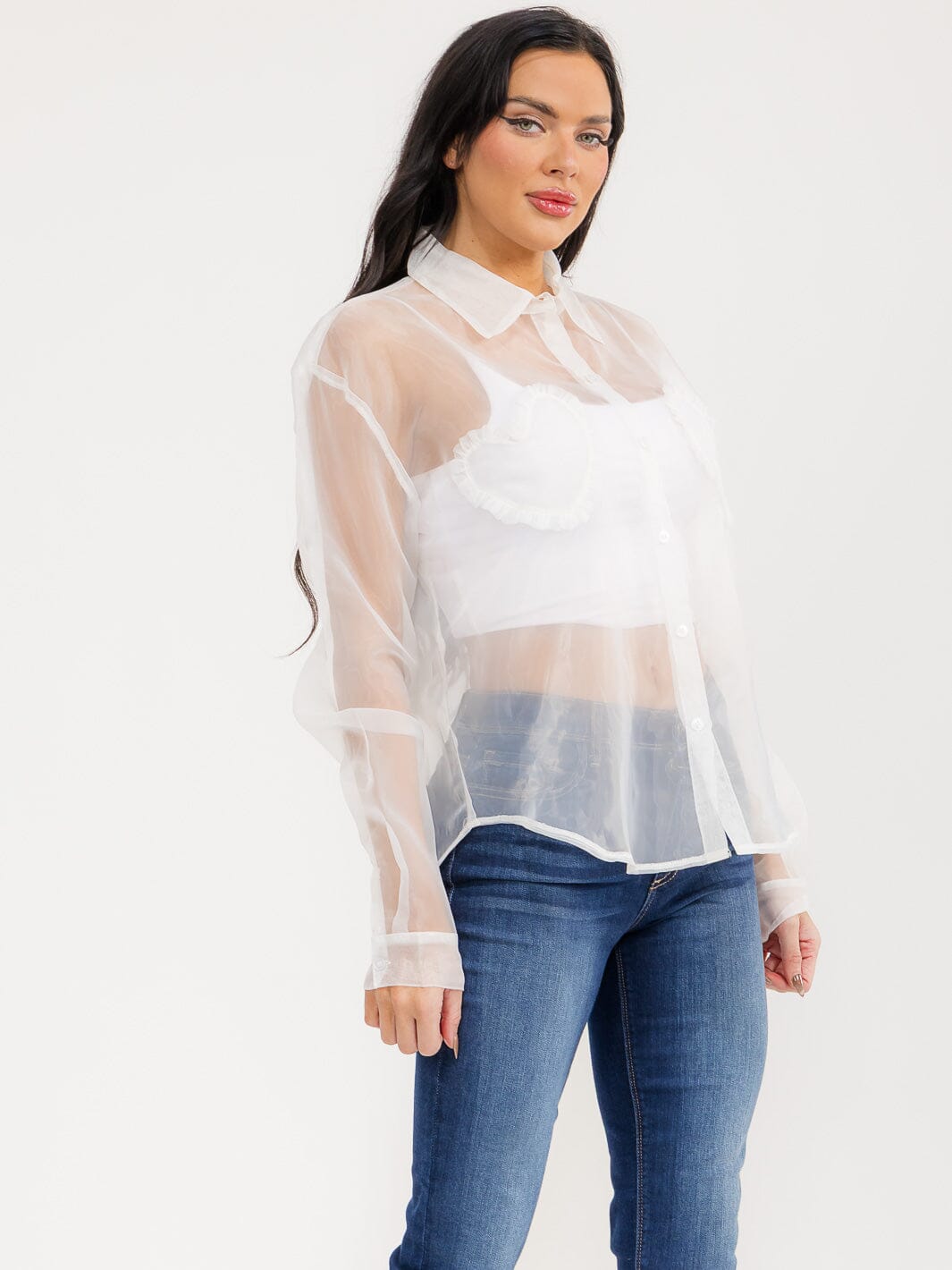 WOMEN'S LONG SLEEVE BUTTON UP FRONT POCKETS SHEER BLOUSE