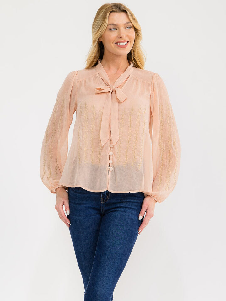 WOMEN'S LONG SLEEVE V-NECK BUTTON UP EMBROIDERY DETAILED SHEER BLOUSE