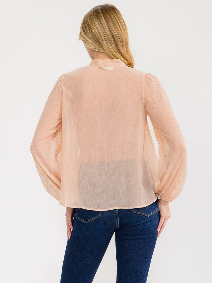 WOMEN'S LONG SLEEVE V-NECK BUTTON UP EMBROIDERY DETAILED SHEER BLOUSE