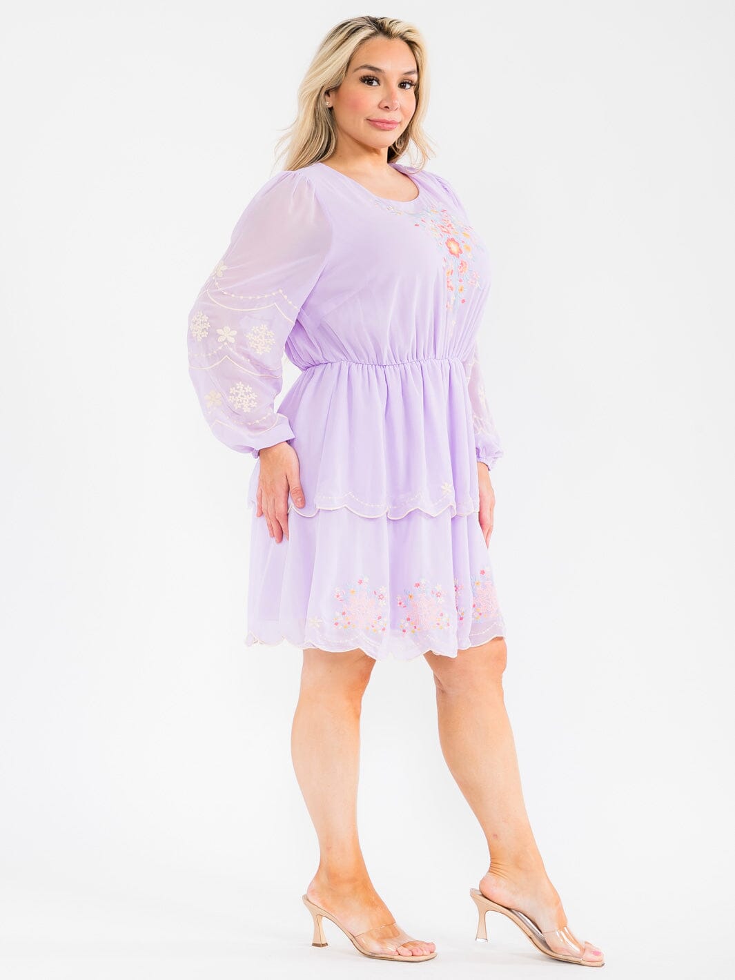 PLUS SIZE LONG SLEEVE ELASTIC WAIST TIERED EMBROIDERY FLORAL MINI DRESS