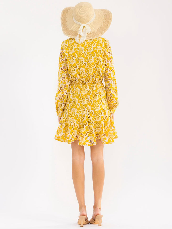 WOMEN'S LONG SLEEVE BUTTON UP ELASTIC WAIST EMBROIDERY MINI DRESS