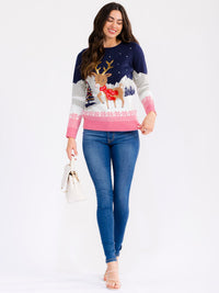 WOMEN'S LONG SLEEVE SEQUINS GRAPHIC PULLOVER HOLIDAY SWEATER
