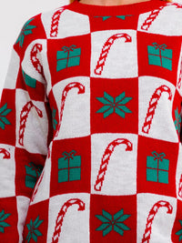 ****PLUS SIZE LONG SLEEVE HOLIDAY PRINT PULLOVER SWEATER
