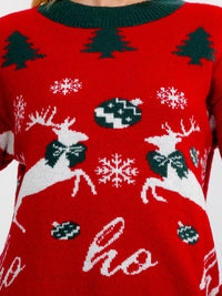 WOMEN'S LONG SLEEVE HOLIDAY PRINT PULLOVER SWEATER