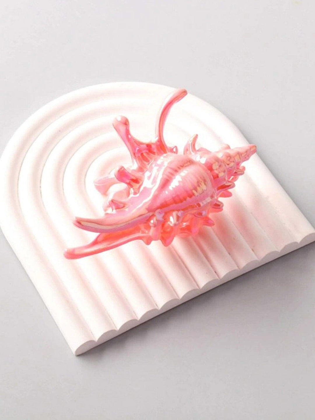 FASHION ASSORTED COLORS SEA SHELL HAIR CLAW CLIPS