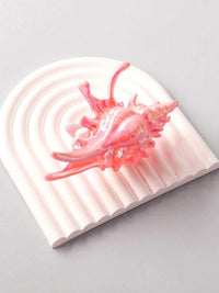 FASHION ASSORTED COLORS SEA SHELL HAIR CLAW CLIPS