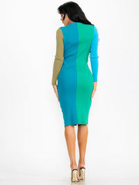 WOMEN'S LONG SLEEVE V-NECK BUTTON UP COLORBLOCK RIBBED BODYCON MIDI DRESS