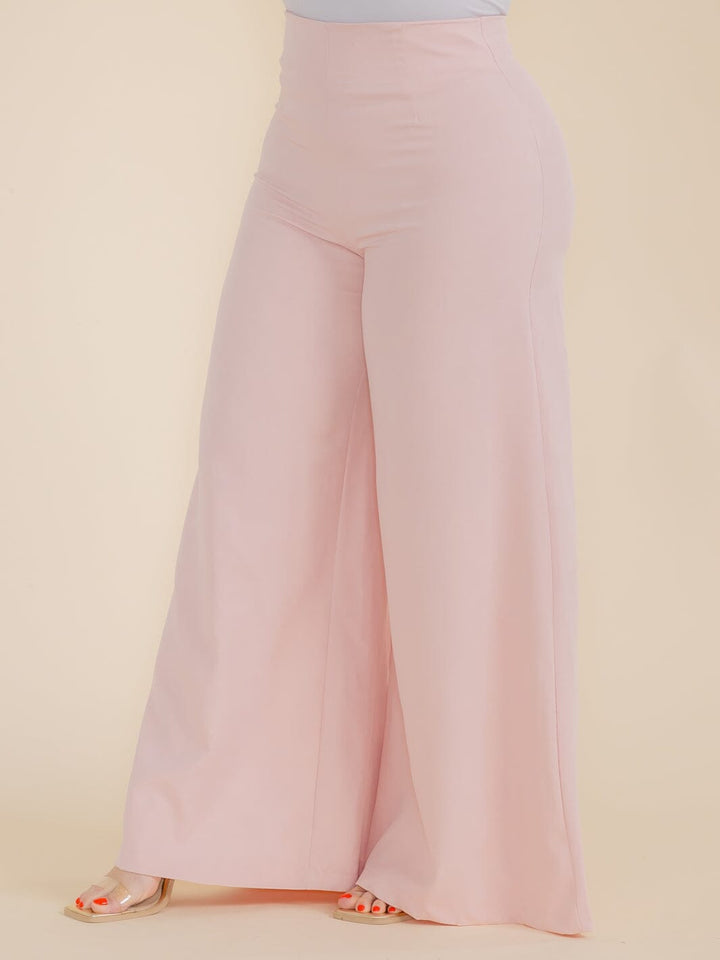 PLUS SIZE ZIPPER CLOSURE WIDE LEG PANTS