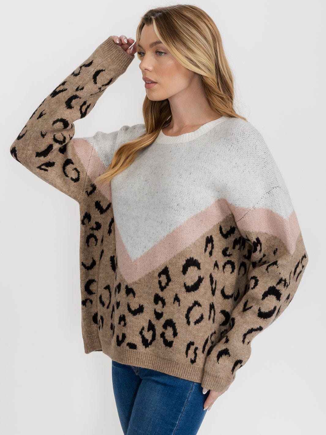 WOMEN'S LONG SLEEVE COLORBLOCK ANIMAL PRINT PULLOVER SWEATER