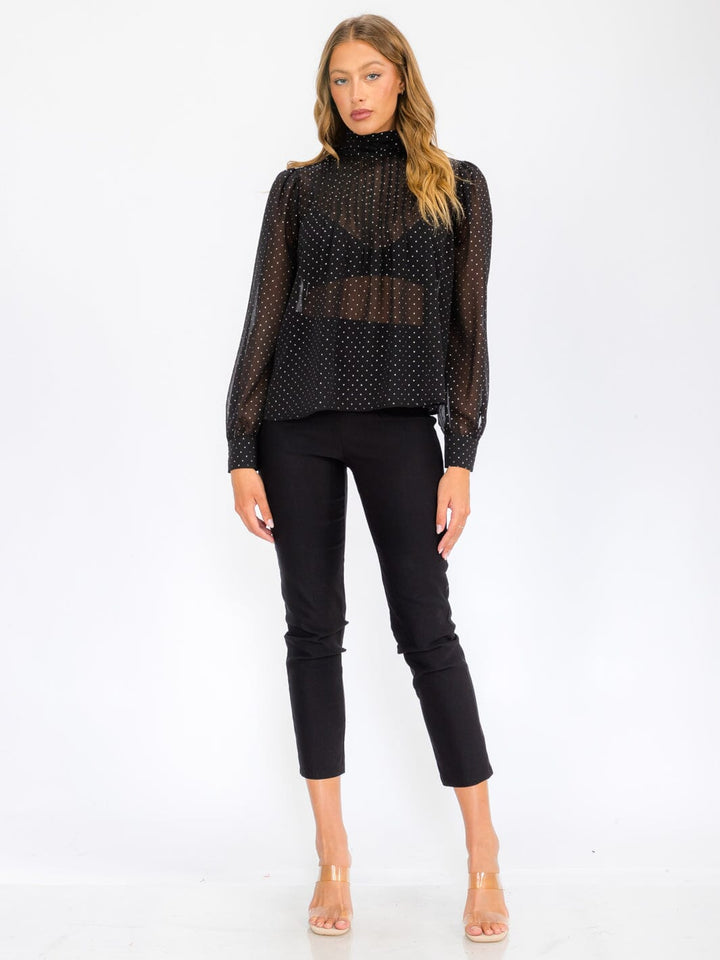 WOMEN'S LONG SLEEVE TURTLE NECK SHIMMER BLOUSE TOP