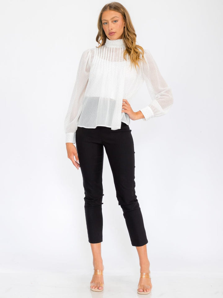 WOMEN'S LONG SLEEVE TURTLE NECK SHIMMER BLOUSE TOP