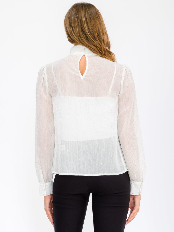 WOMEN'S LONG SLEEVE TURTLE NECK SHIMMER BLOUSE TOP