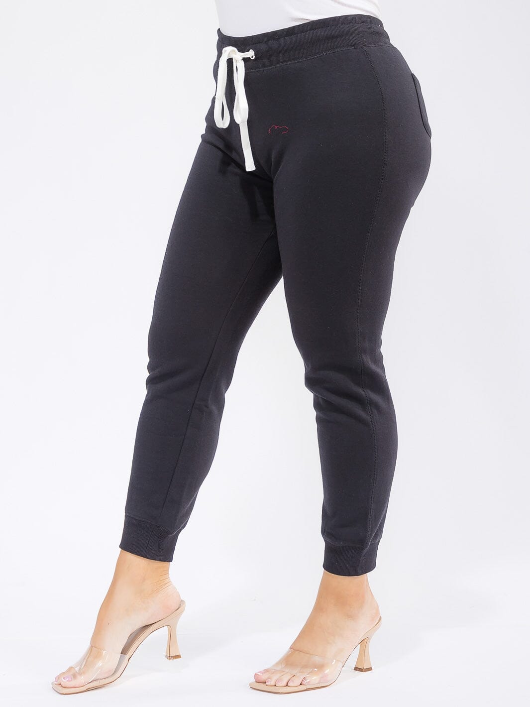 PLUS SIZE ELASTIC WAIST SELF TIE JOGGER FLEECE PANTS