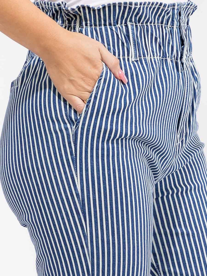 PLUS SIZE BUTTON CLOSURE POCKETS SKINNY LEG STRIPED DENIM PANTS