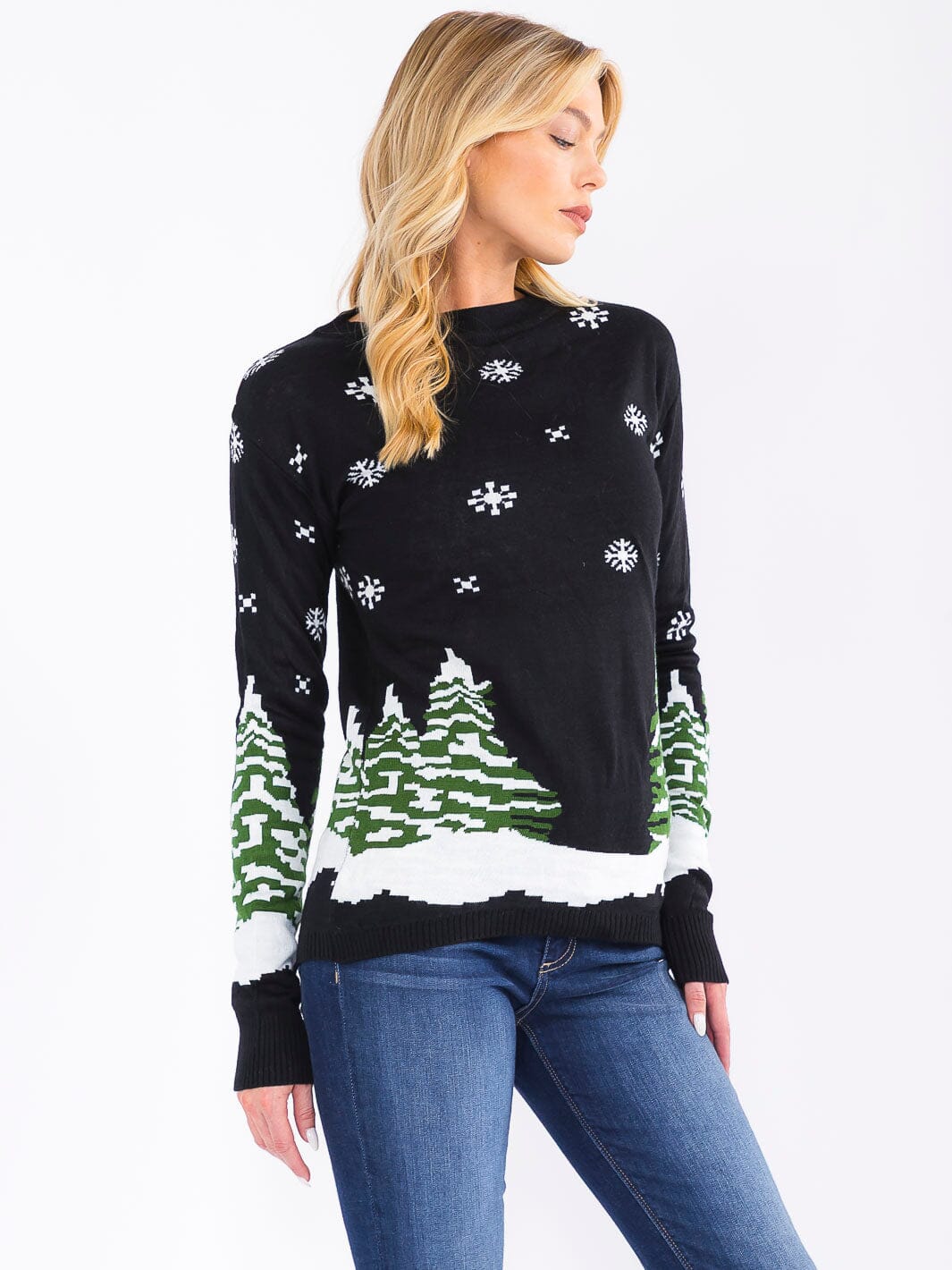 WOMEN'S LONG SLEEVE CHRISTMAS GRAPHIC PULLOVER SWEATER
