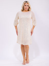 PLUS SIZE 3/4 SLEEVES SEQUINS MIDI DRESS