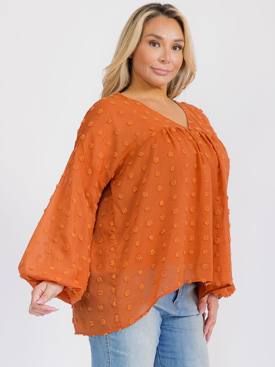 PLUS SIZE LONG SLEEVE V-NECK SWISS DETAILED BLOUSE