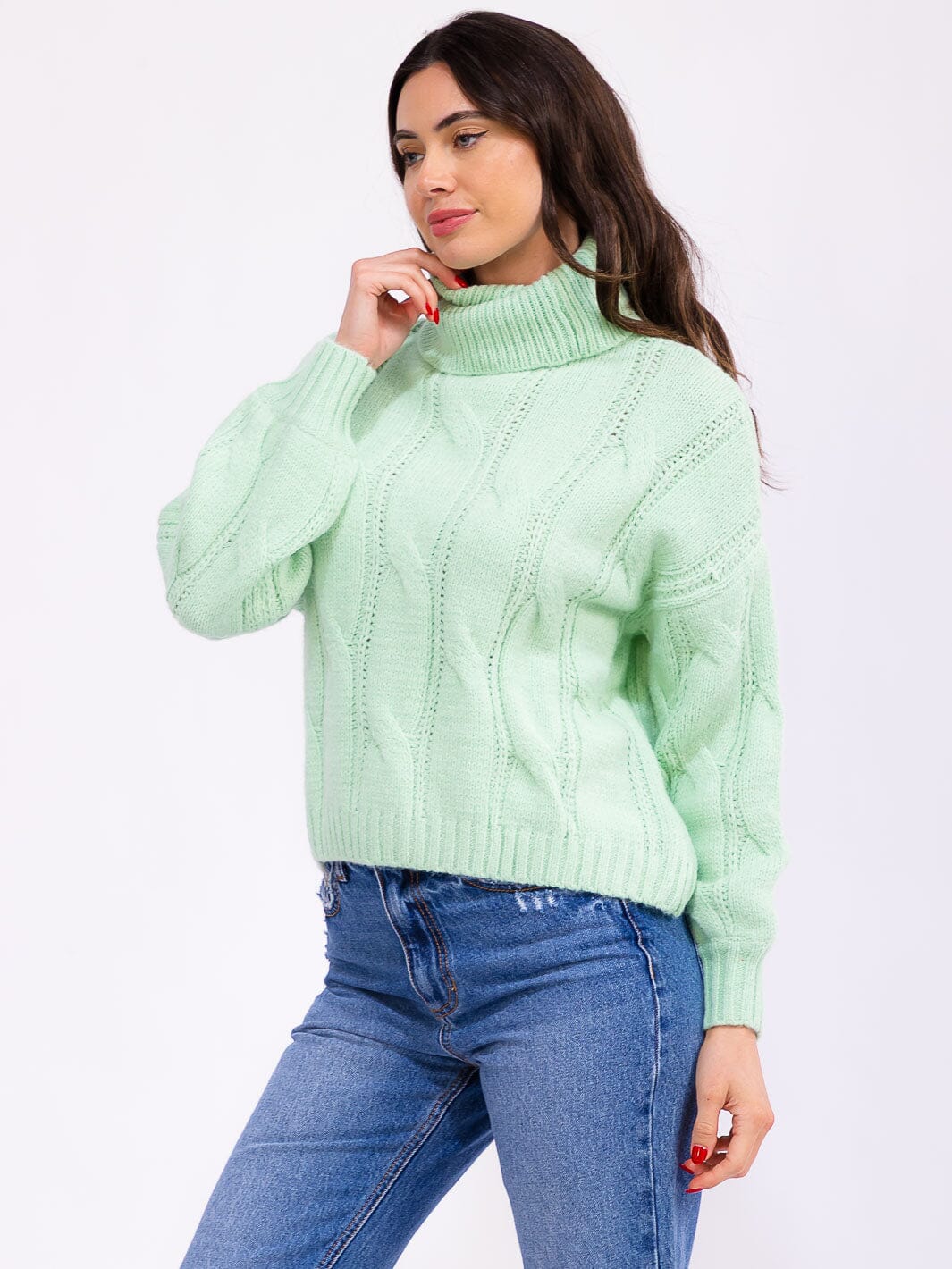 WOMEN'S LONG SLEEVE TURTLE NECK PULLOVER SWEATER