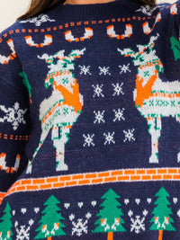 WOMEN'S LONG SLEEVE HOLIDAY PRINT PULLOVER SWEATER