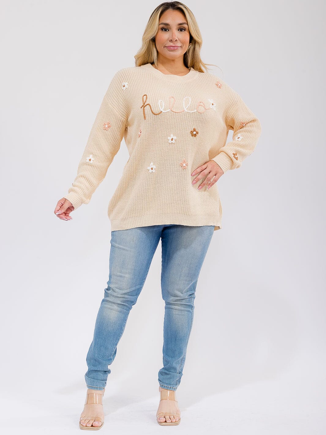 PLUS SIZE LONG SLEEVE GRAPHIC PULLOVER KNIT SWEATER