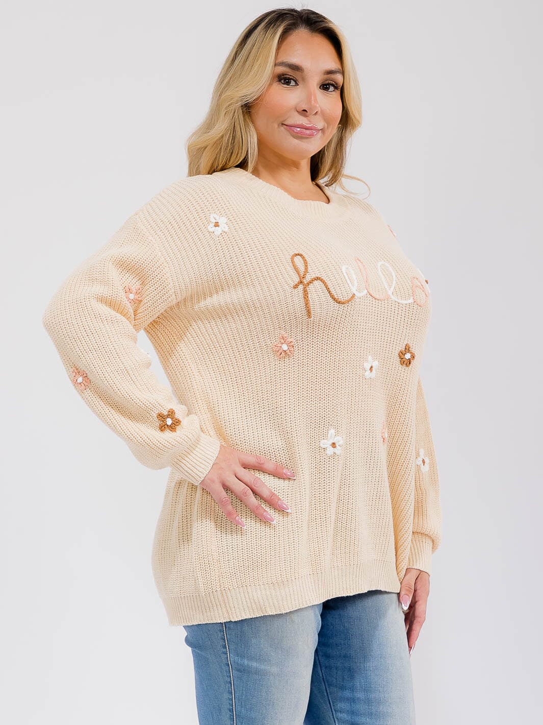 PLUS SIZE LONG SLEEVE GRAPHIC PULLOVER KNIT SWEATER