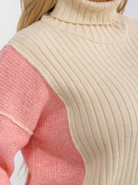 PLUS SIZE LONG SLEEVE TURTLE NECK COLORBLOCK KNIT PULLOVER SWEATER