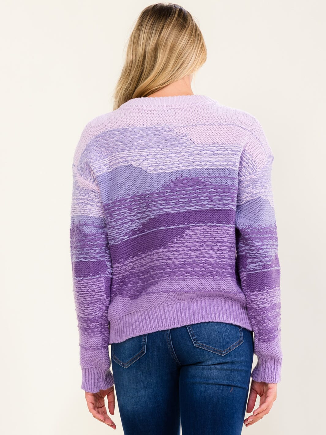 WOMEN'S LONG SLEEVE V-NECK KNIT PULLOVER COLORBLOCK SWEATER
