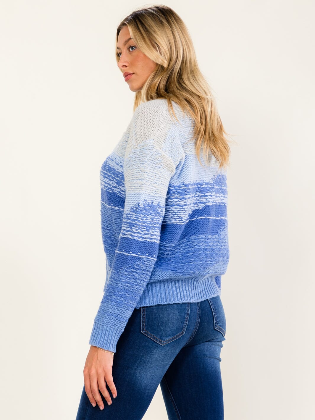 WOMEN'S LONG SLEEVE V-NECK KNIT PULLOVER COLORBLOCK SWEATER