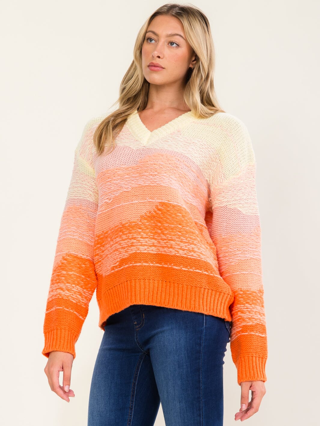 WOMEN'S LONG SLEEVE V-NECK KNIT PULLOVER COLORBLOCK SWEATER