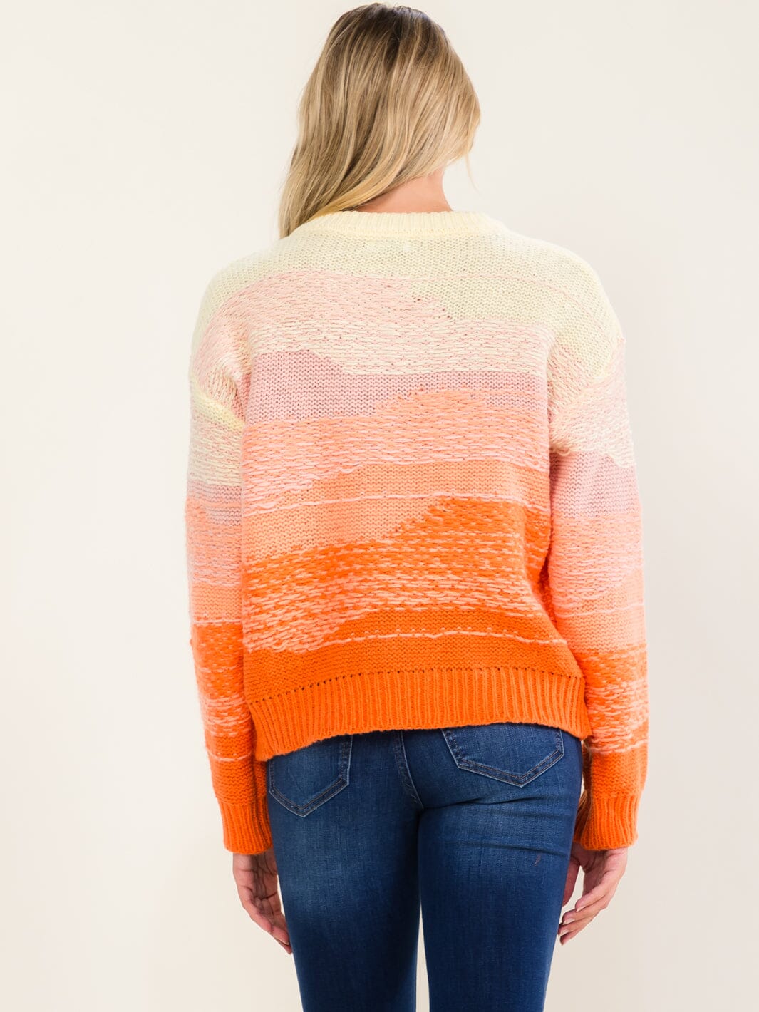WOMEN'S LONG SLEEVE V-NECK KNIT PULLOVER COLORBLOCK SWEATER
