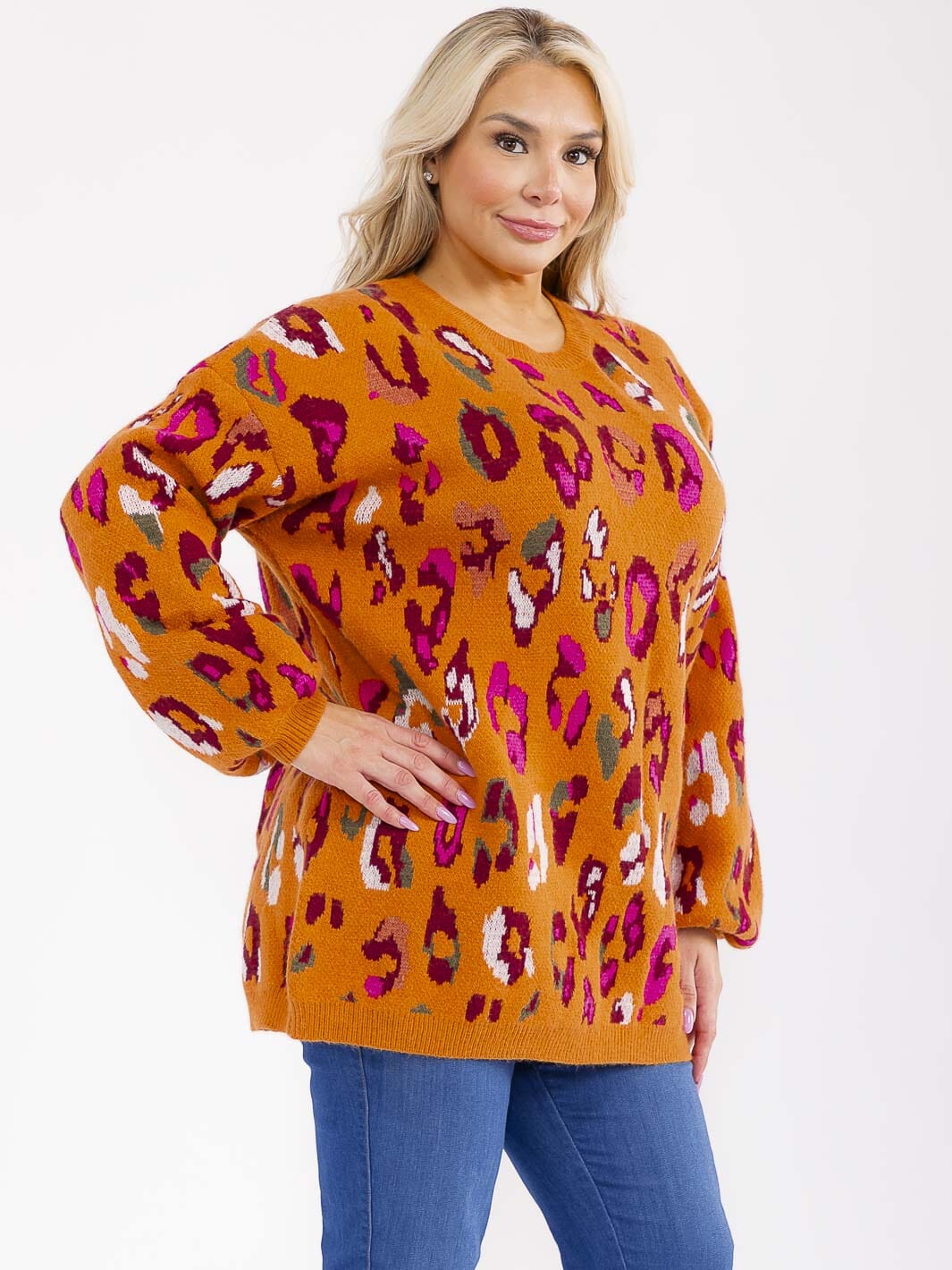 PLUS SIZE LONG SLEEVE ANIMAL PRINT PULLOVER BLOUSE