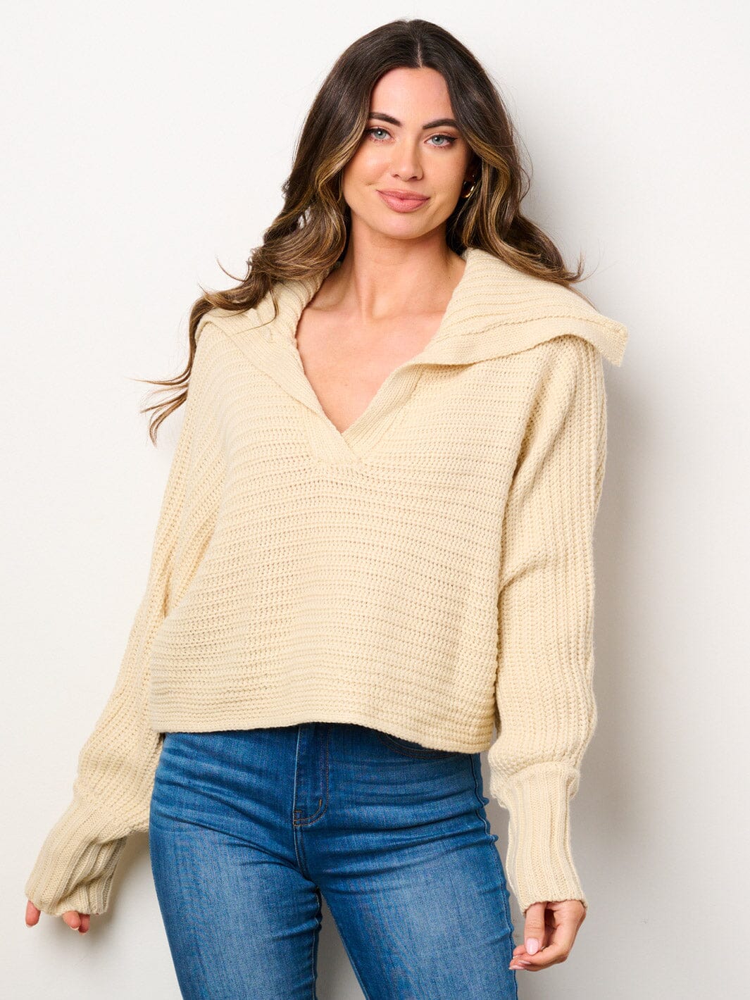 WOMEN'S LONG SLEEVE V-NECK COLLAR PULLOVER SWEATER