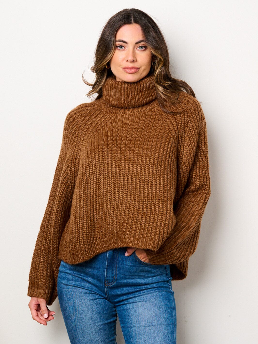WOMEN'S LONG SLEEVE TURTLE NECK PULLOVER SWEATER