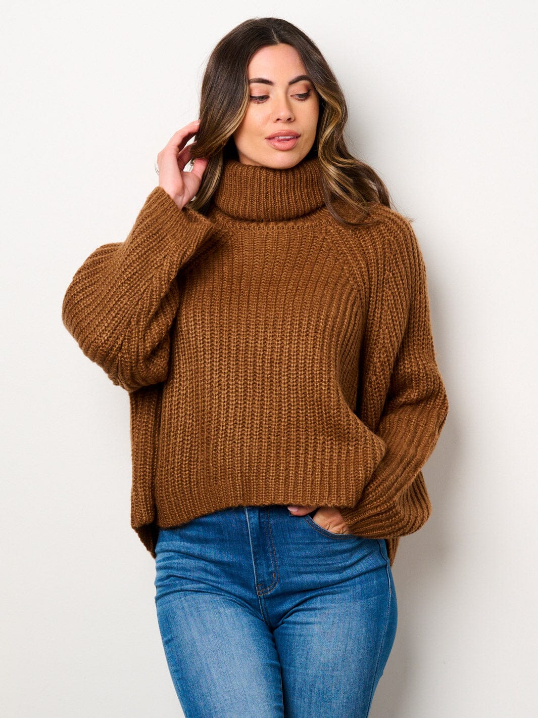 WOMEN'S LONG SLEEVE TURTLE NECK PULLOVER SWEATER