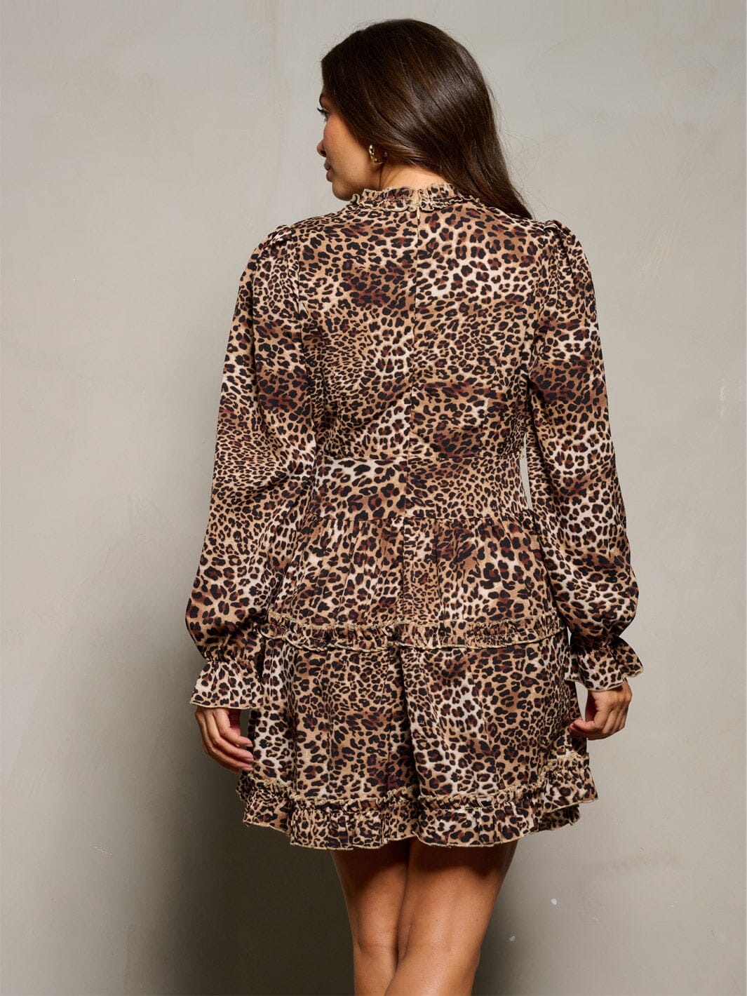 WOMEN'S LONG SLEEVE V-NECK LEOPARD PRINT MINI DRESS
